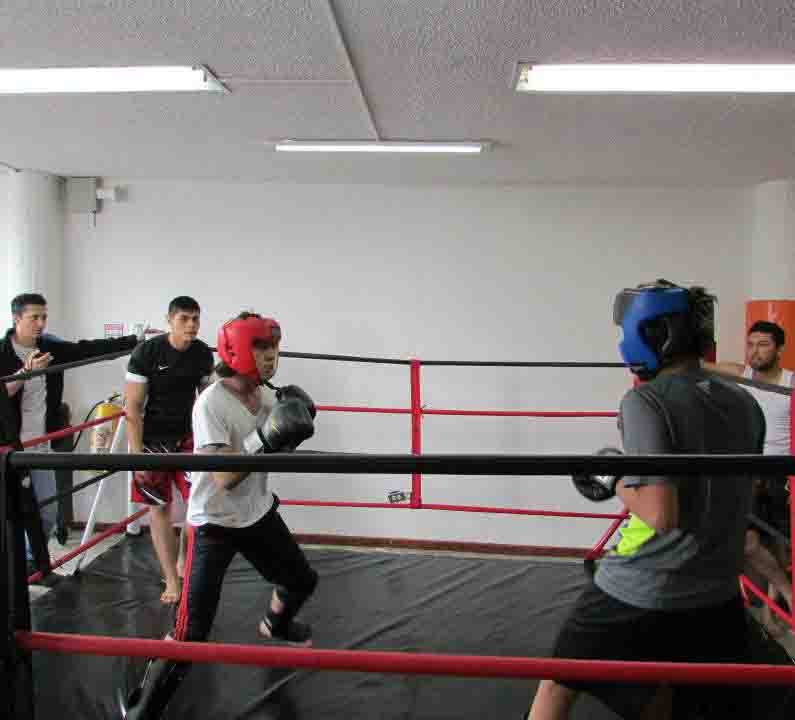 clases de boxeo en bogota